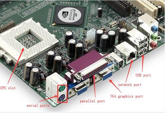 What Components Are Connected to a Motherboard